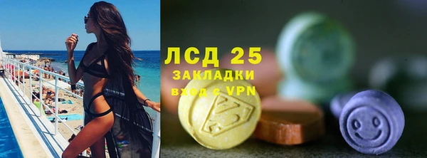 стафф Вяземский