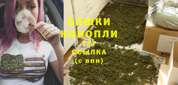 стаф Ступино